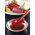 マグロ食べ比べ全５種６点2.2kg以上（南まぐろ、キハダまぐろ、びん長まぐろ、ほか）：4500円