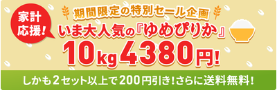 【新米】令和5年度産 北海道産ゆめぴりか10kg（5kg×2袋）：4380円