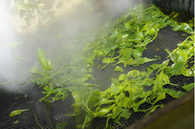 オーガニック 有機煎茶 100ｇ3袋 静岡県産 深蒸し茶：3240円