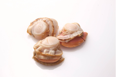 帆立湯霜造り　１ｋｇ（30～40個）　　冷凍：2480円