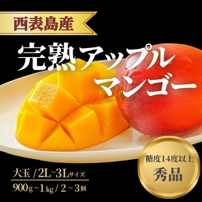 国産＜西表島産＞完熟アップルマンゴー大玉【秀品】2〜3玉 ギフト品質 減農薬【お中元対応】：5940円