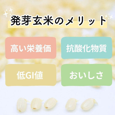 急速瞬間冷凍　発芽熟成玄米ごはん（小豆&黒米入り160g×7食）：2480円