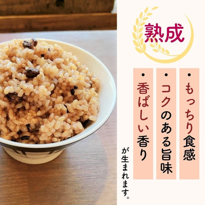 急速瞬間冷凍　発芽熟成玄米ごはん（小豆&黒米入り160g×7食）：2480円