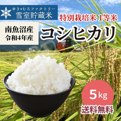 特別栽培米 5kg 雪室貯蔵 南魚沼産 令和4年産 コシヒカリ 1等米：3980円