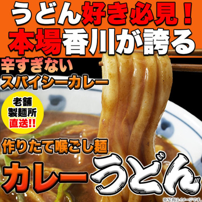 レンジで簡単！讃岐カレーうどん 4食(180g×4袋)【送料無料】：870円