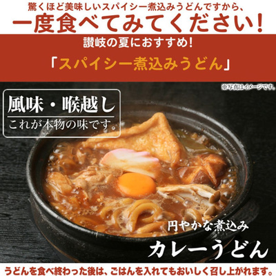 レンジで簡単！讃岐カレーうどん 4食(180g×4袋)【送料無料】：870円
