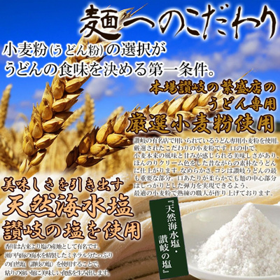 レンジで簡単！讃岐カレーうどん 4食(180g×4袋)【送料無料】：870円