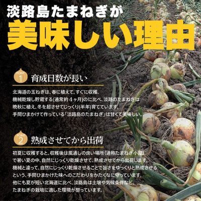 淡路島産玉ねぎ100％使用！淡路島たまねぎスープ 30包【送料無料】：990円