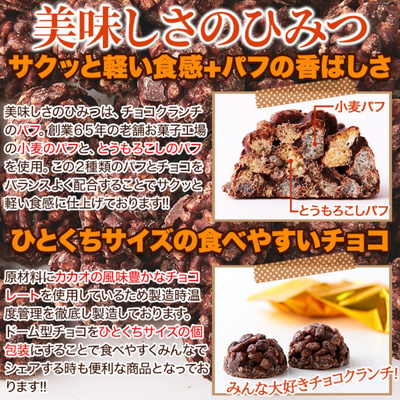 サクふわ食感！ひとくちサイズのチョコクランチ 50個：2470円