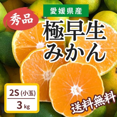 愛媛県産　極早生みかん  小玉（2S）　秀品 3kg：2400円