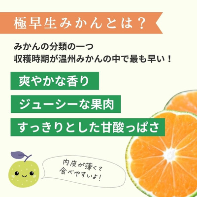 愛媛県産　極早生みかん  小玉（2S）　秀品 3kg：2400円