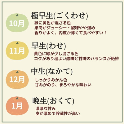 愛媛県産　極早生みかん  小玉（2S）　秀品 3kg：2400円