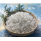 ふっくら釜揚げしらす500g　250g×2パック：1800円