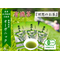 オーガニック 有機煎茶 100ｇ3袋 静岡県産 深蒸し茶：3240円