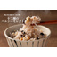 米の華～12種のヘルシーセレクト～：（500g×10袋）：16200円